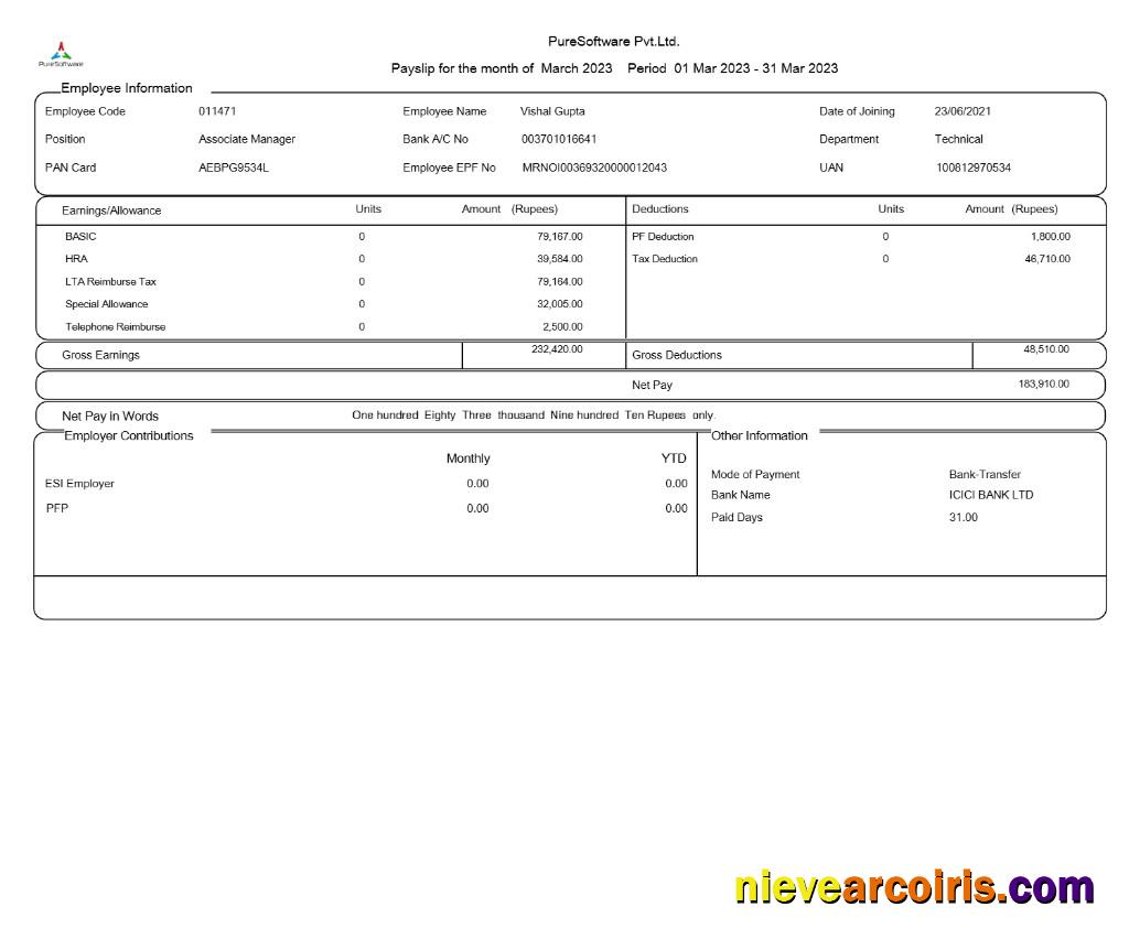 PureSoftware payslip